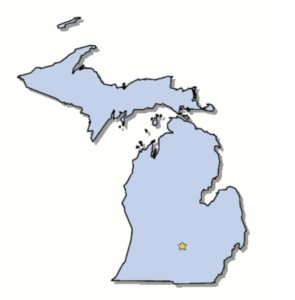 Are Michigan fake ids good