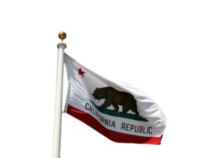 California Fake Driver License 