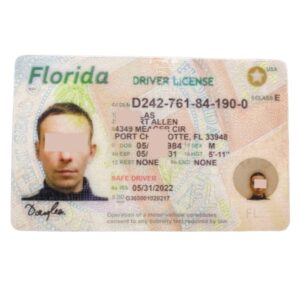 Florida Fake Driver License  