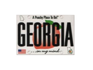 Georgia Fake Driver License 