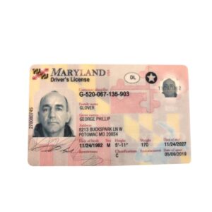 Maryland Fake Driver License