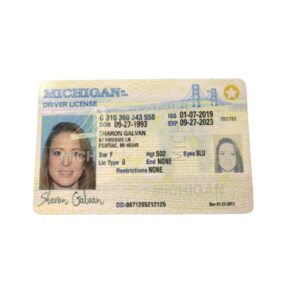 Michigan Fake Driver License