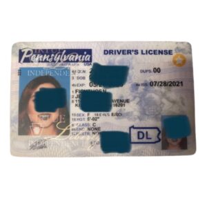 Pennsylvania Fake Driver License