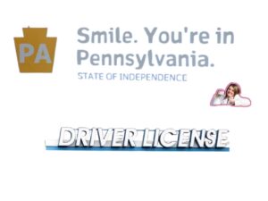 Pennsylvania Fake Driver License