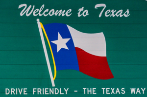 Texas Fake Driver License