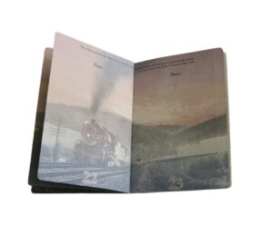 US Fake Passport