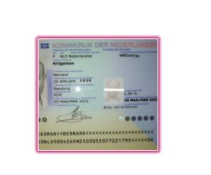 Netherlands Fake ID