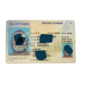 Montana Fake ID 