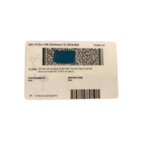Nevada driver's license example