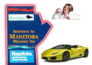 Manitoba Fake Driver License
