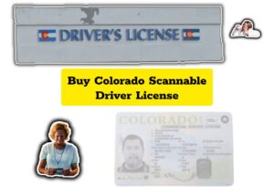 Colorado Fake Driver License