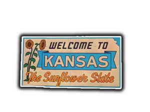Fake Kansas Driver's License