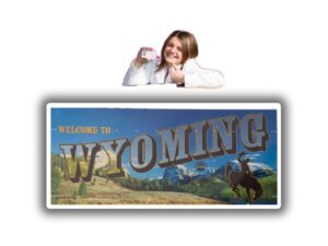 Wyoming Fake Driver License