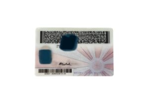 Fake Virginia Drivers License