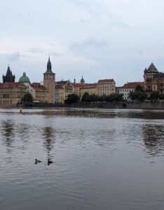Buy Fake Czech ID Card Online 