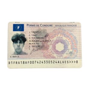 Fake French Driver License